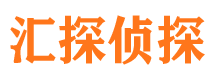 临城市私家侦探